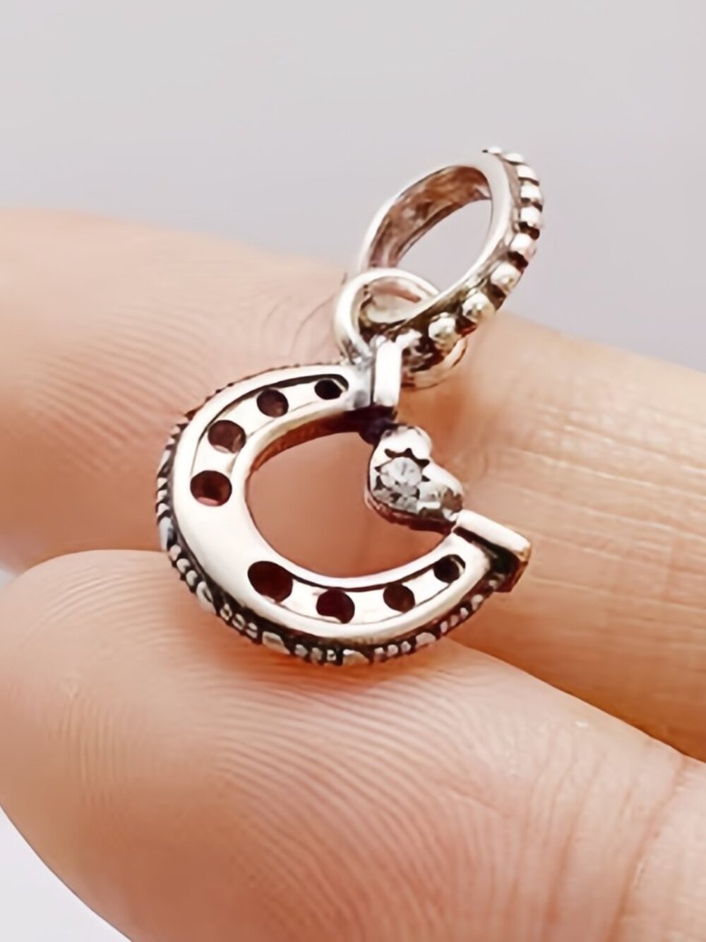 Panorama Good Luck Horseshoe Dangle Charm